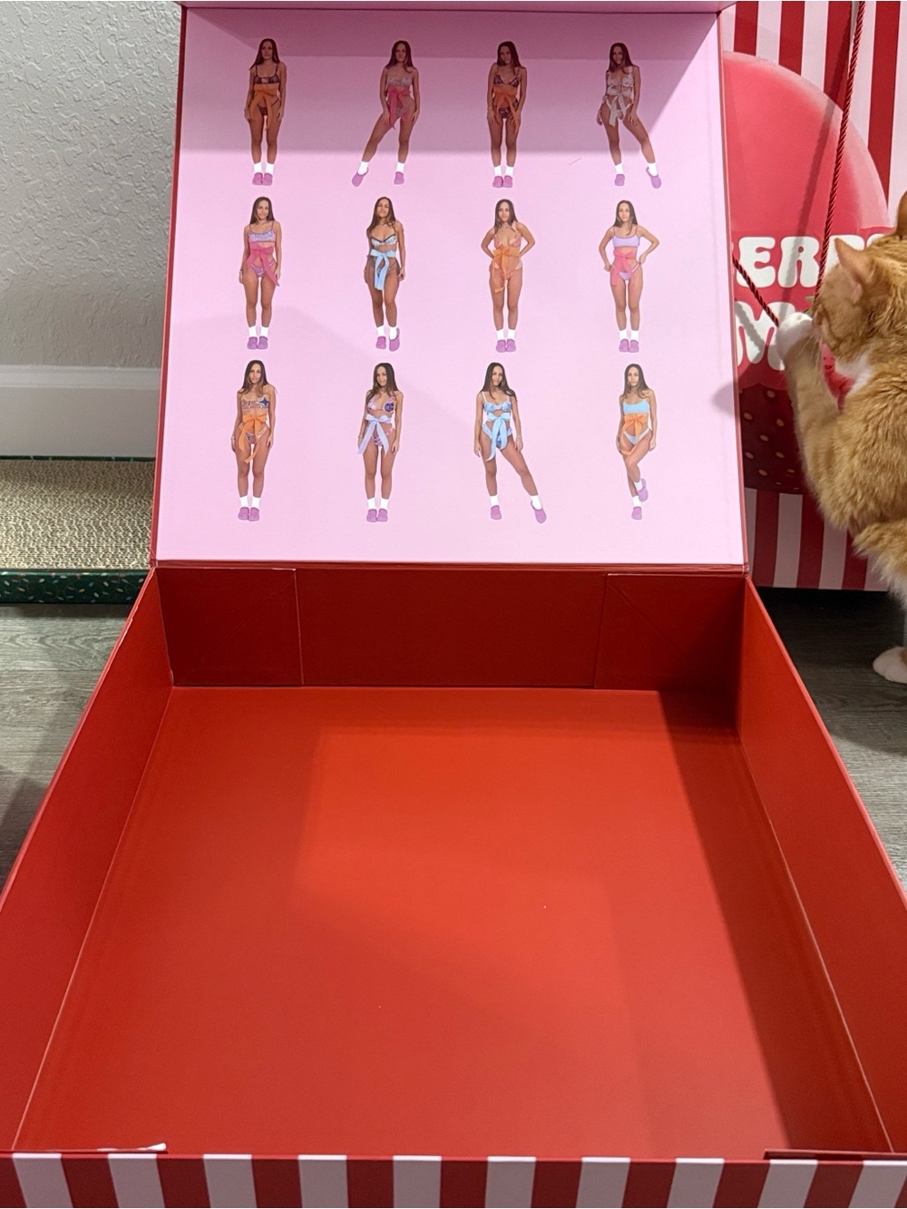 Strawberry Milk Mob - Advent Calendar BOX AND BAG ONLY - Picture 4 of 6